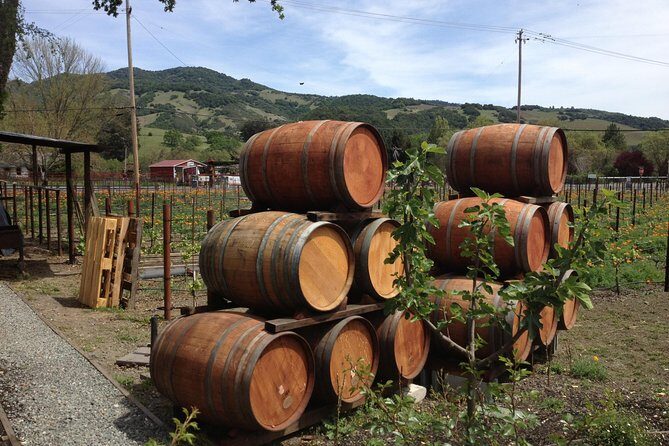 6-Hour Private Wine Country Tour of Napa in Crossover SUV (up to 6 people) - Detailed Itinerary Breakdown