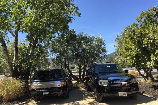 6-Hour Private Wine Country Tour of Napa Valley (up to 6 people) in Large SUV - Practical Tips for Your Napa Valley Private Tour