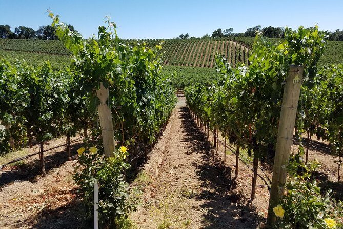 6 Hour Private Wine Country Tour (Sedan, SUV or Limo) - The Itinerary: What You Can Expect