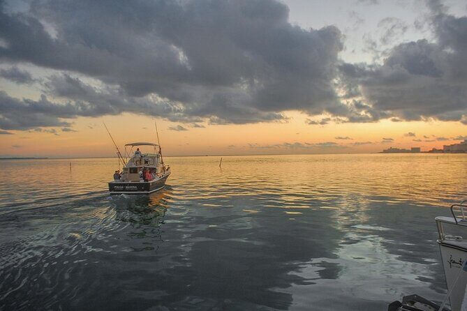 6-Hour Shared Fishing Tour - Who Should Book This Tour?
