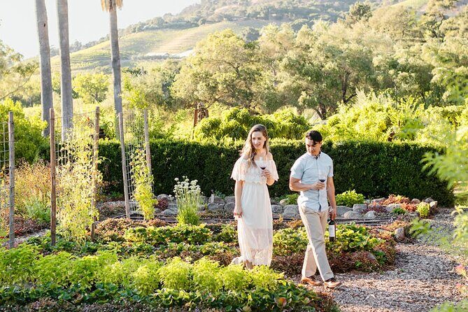 6 Hour Sonoma Boutique Wine Tour-Private Black Car,up to 6 Guests - Exploring the 6 Hour Sonoma Boutique Wine Tour – Private Black Car Experience