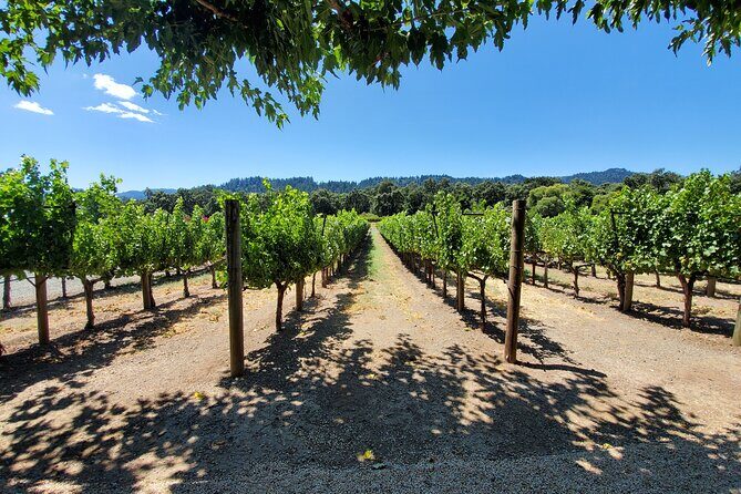 6-Hour Sparkling Wine Tour of Napa Valley - Exploring the 6-Hour Sparkling Wine Tour in Napa Valley