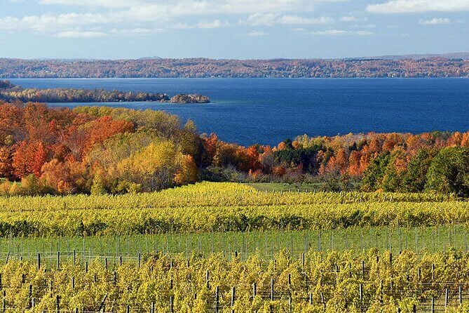 6 Hour Tour in Lake Leelanau - Introduction: The Lowdown on the Lake Leelanau Tour