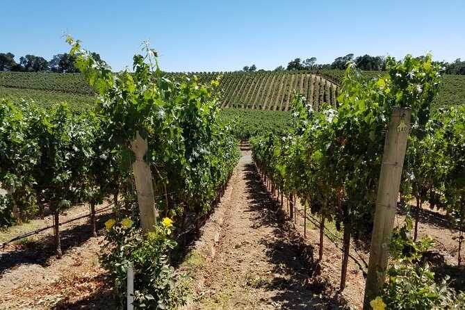 6 Hour Variety Wine Vineyard Tour in Napa Valley - Frequently Asked Questions
