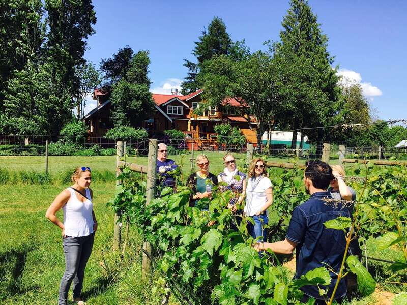 6-Hour Victoria to Cowichan Wine Tour - Key Points