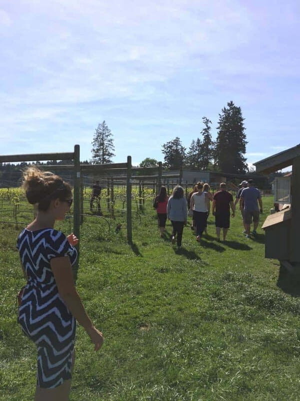 6-Hour Victoria to Cowichan Wine Tour - A Deep Dive into the Experience