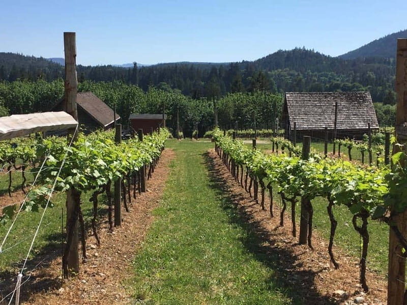6-Hour Victoria to Cowichan Wine Tour - Summary: Is This Tour Worth It?