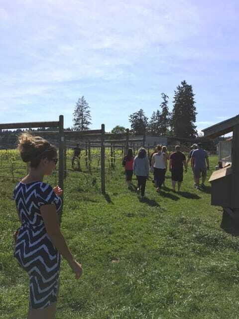 6-Hour Victoria to Cowichan Wine Tour - FAQ