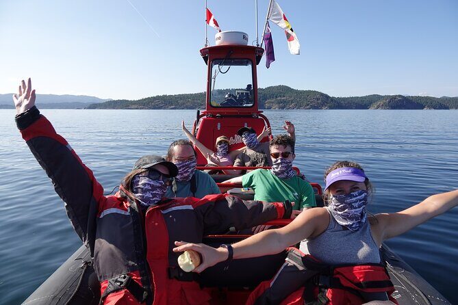 6 hour Zodiac Whale Watching Tour - Key Points