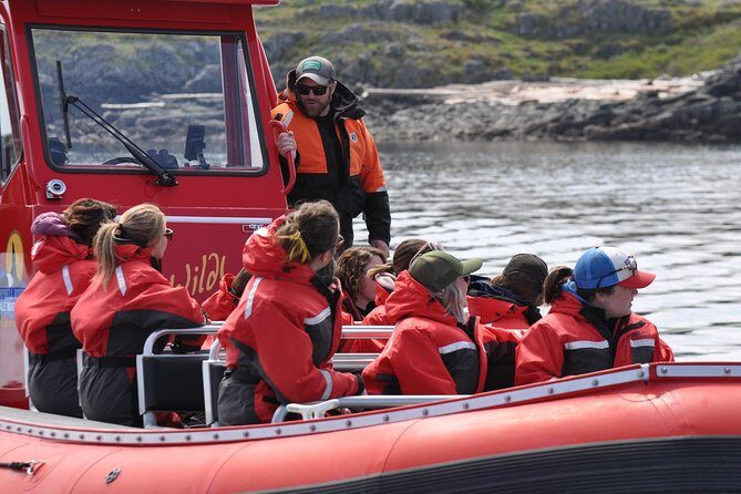 6 hour Zodiac Whale Watching Tour - Comfort and Practicalities