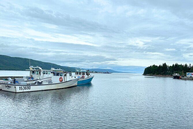 6 Hours Cabot Trail, Keltic Lodge and Ingonish Sights Tour - Who Should Consider This Tour?