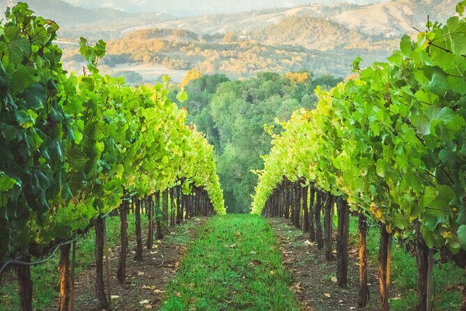6 Hours Healdsburg Wine Tour with Luxury SUV - Introduction