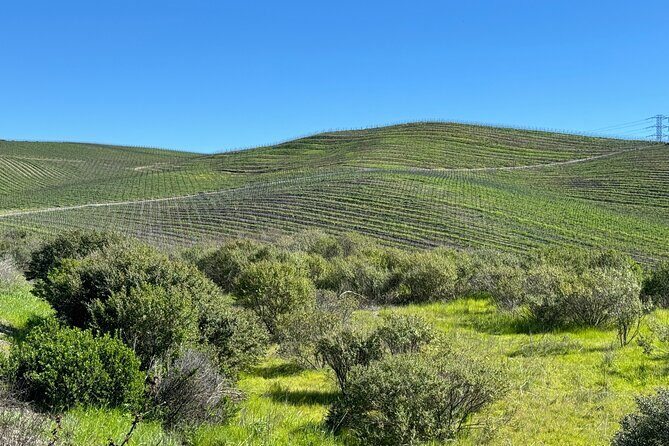 6 Hours Healdsburg Wine Tour with Luxury SUV - Final Thoughts
