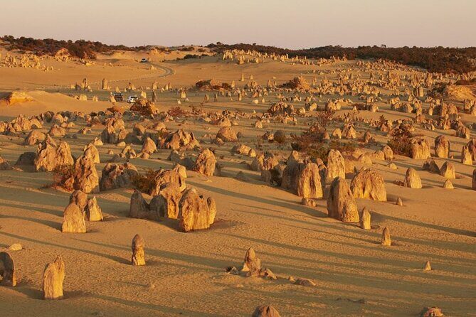 6 Hours Pinnacles Express Tour - Introduction: What Makes the Pinnacles Tour Stand Out?