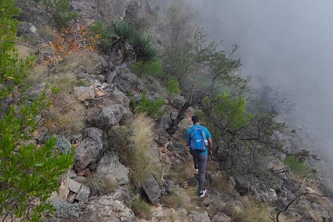 6 Hours Private Hiking in Salalah Mountains - FAQs