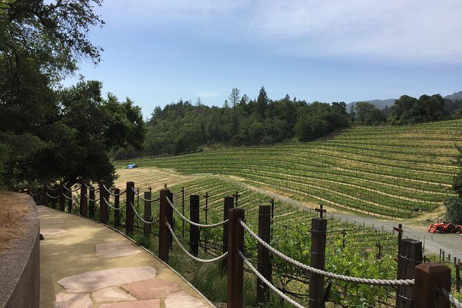 6-Hours Private Napa Wine Tour in a MKT sedan ( 2 Passengers) - Who Will Love This Experience?
