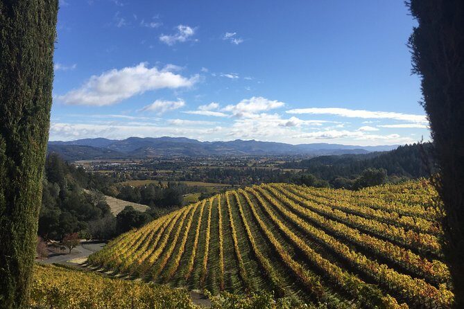 6-Hours Private Napa Wine Tour in a MKT sedan ( 2 Passengers) - The Sum Up