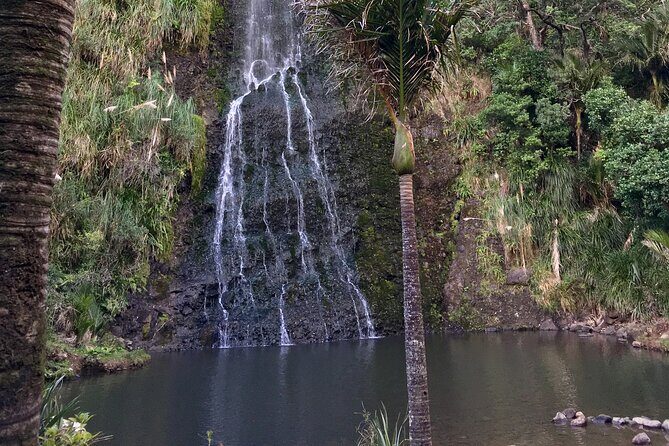 6 Hours Sightseeing Tour in Auckland - The Experience from the Traveler’s Perspective