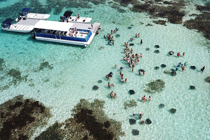 6-Hours Tour East Coast of Antigua: Stingray City, Lunch & Beach - Key Points