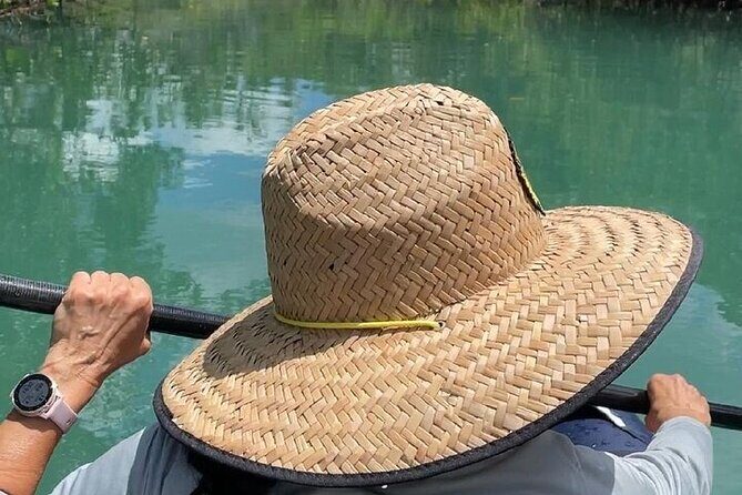 6-Hr Tropical Mangroves, Coastal River and Ocean Wildlife Watch - Equipment and Comfort for a Memorable Day
