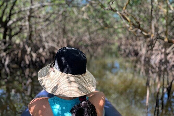 6-Hr Tropical Mangroves, Coastal River and Ocean Wildlife Watch - What to Expect on the Day