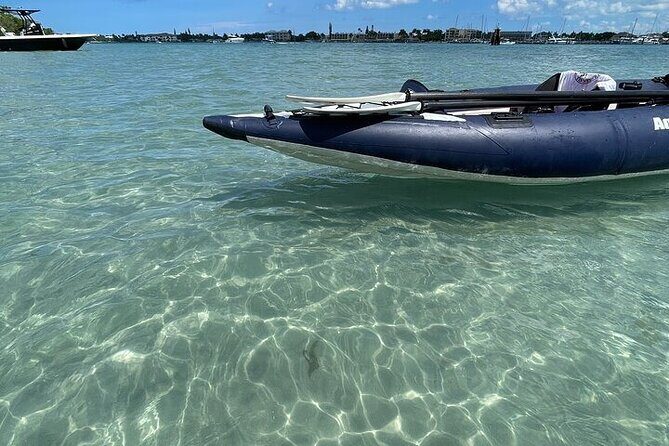 6-Hr Tropical Mangroves, Coastal River and Ocean Wildlife Watch - Who Will Love This Tour?