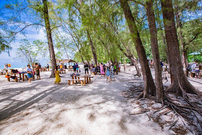 6 Hrs Bamboo & Phi Phi Island Private Longtail Boat From Phi Phi - Practical Considerations and Planning Tips