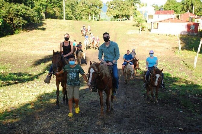 6 in 1 tours Full Day Safari, Zipline, Buggies and Horse Riding - An Introduction to the Experience