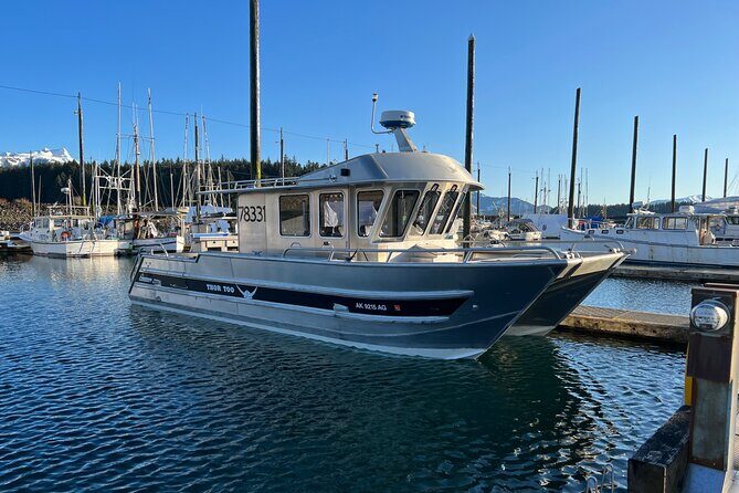 6 Passenger Whale Watching Adventure in Icy Strait from Hoonah AK - Key Points