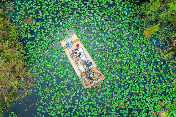 60 min. Everglades Airboat ride & pick-up ,small group +pro guide - The Wildlife & Conservation Focus