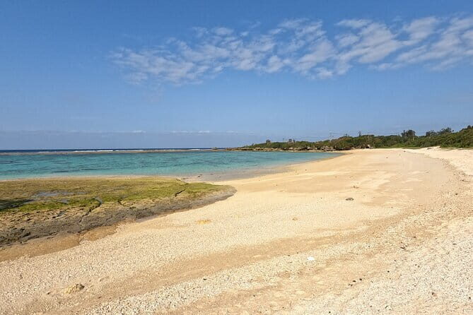 60min Buggy / ATV adventure tour in Jungle in Okinawa - Key Points