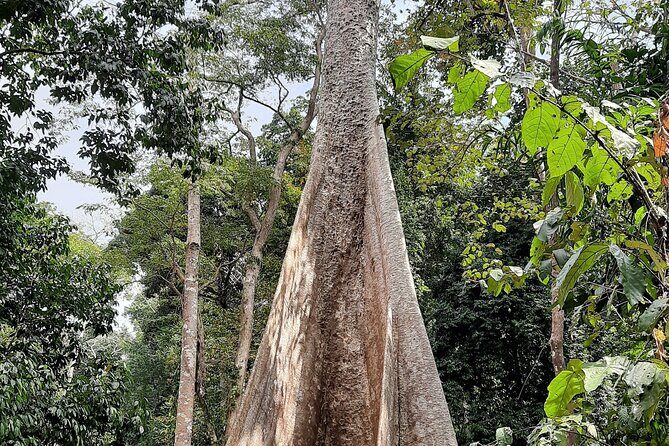 6D/5N Offbeat Walking Holiday in South and Middle Andamans - Detailed Review: Your Guide to the Offbeat Andamans