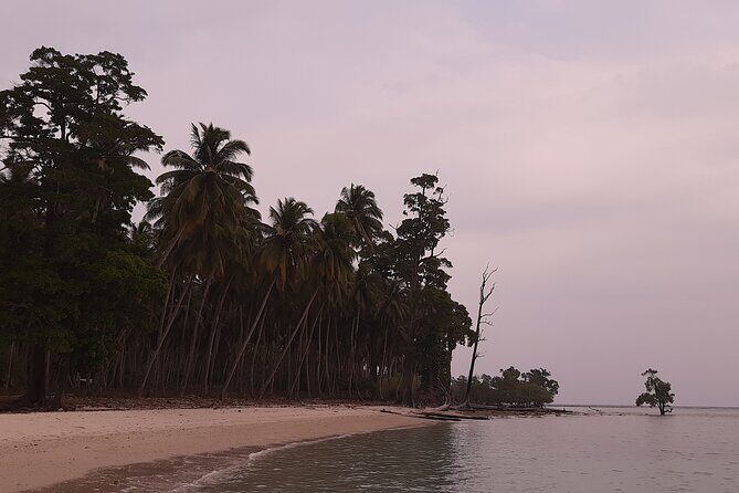 6D/5N Offbeat Walking Holiday in South and Middle Andamans - Final Thoughts