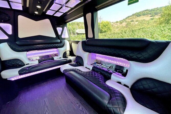 6hr | 7 Passenger Mercedes Sprinter Limo Van Private Tour - A Deep Dive into the Experience