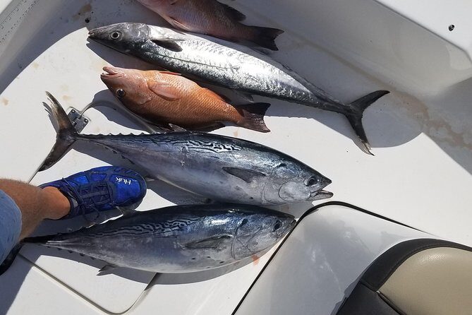 6HR Fishing Charter - Who Is This Tour Best For?