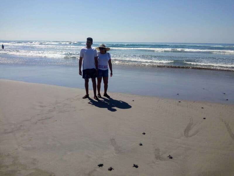 .6Hr Tour Diving Show Baby Turtle Release & All Attractions - Starting Point and Logistics