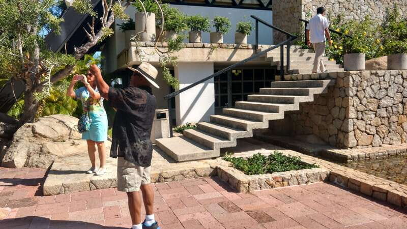 .6Hr Tour Diving Show Baby Turtle Release & All Attractions - Optional Lunch at La Cabaña