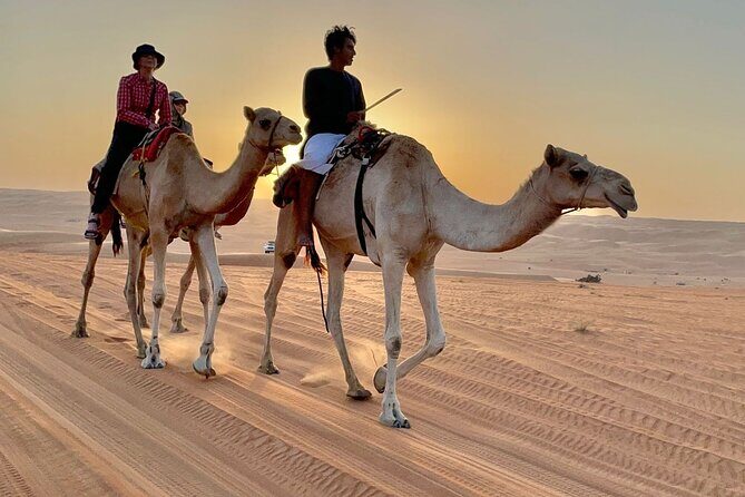 7-8 Hours Private Desert Adventure Trip with Activities - The Transport & Guides