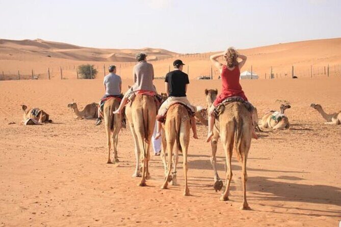 7-8 Hours Private Desert Adventure Trip with Activities - The Value Proposition