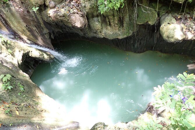 7 Damajagua Waterfalls - Overview of the Experience