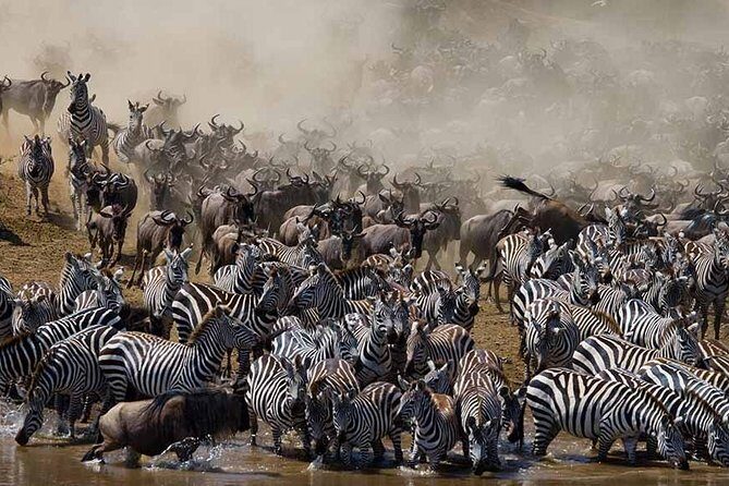 7 Day 6 nights Great Migration Classic Tanzania Safari - Key Points