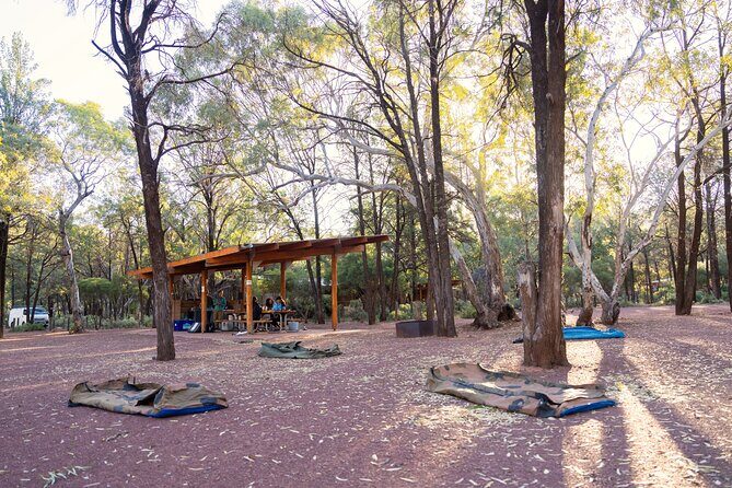 7 Day Adelaide to Uluru Adventure and Cultural Tour - Final Thoughts: Who Is This Tour For?