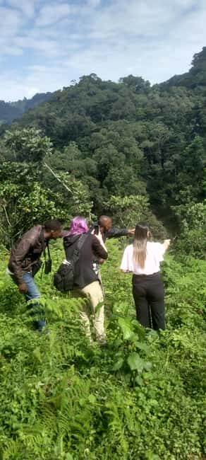 7-Day Best of Rwanda & Uganda Primate Safari - Practical Tips for Travelers