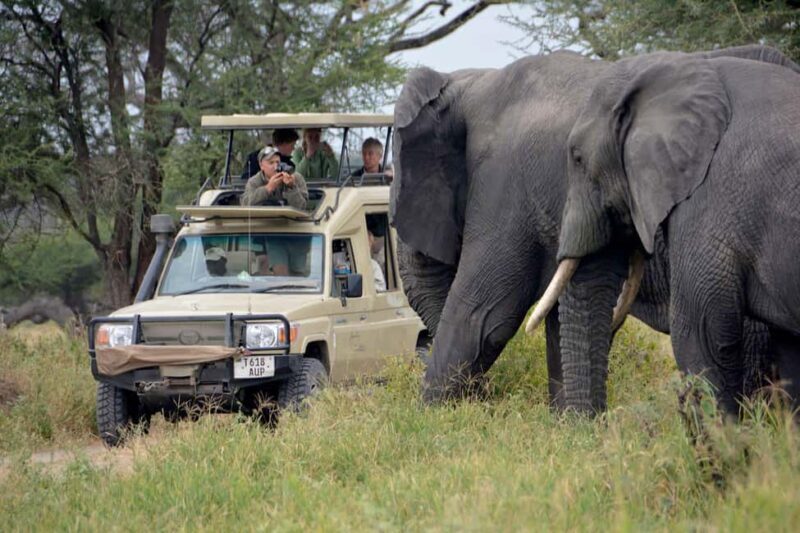 7-Day Best of Tanzania Camping Safari on a 4x4 Land Cruiser - Who Will Love This Safari?