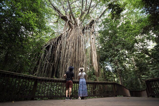 7 Day Brisbane to Cairns Boutique Whitsundays Great Barrier Reef - What’s Included and What’s Not