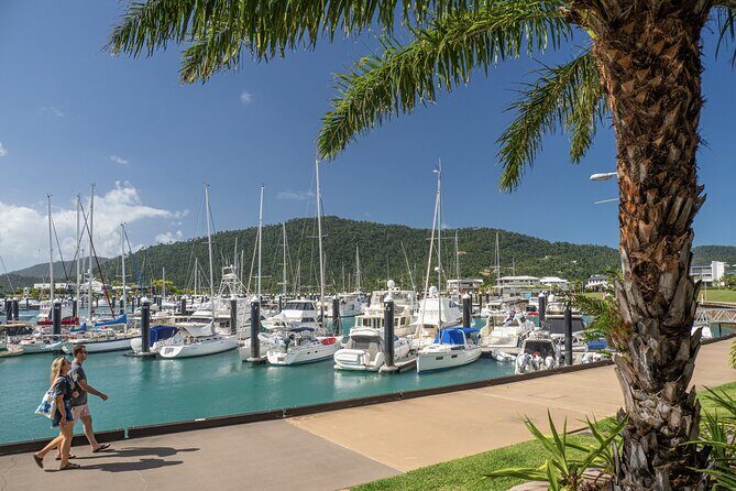 7 Day Brisbane to Cairns Boutique Whitsundays Great Barrier Reef - Authentic Experiences and Traveler Feedback