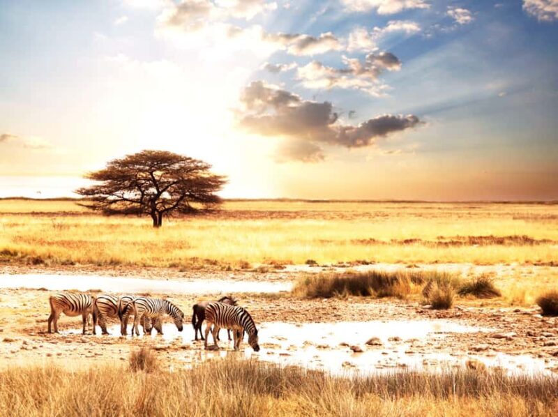 7-Day Budget Camping Safari in Tanzania - Frequently Asked Questions