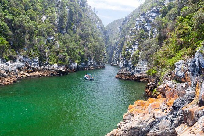 7-day Cape Town, Winelands, Garden Route and Addo National Park - An In-Depth Look at the 7-Day South African Tour