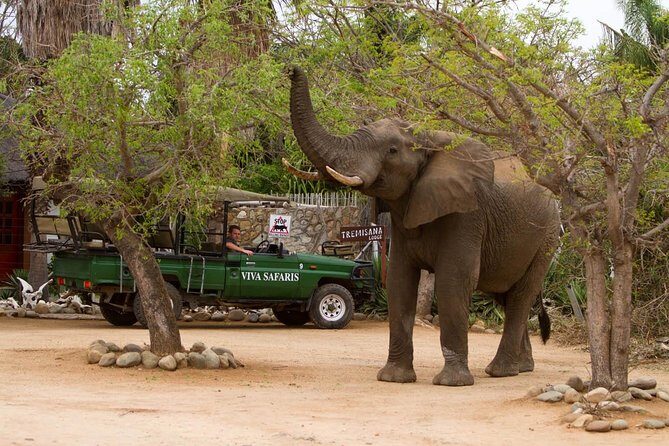 7 Day Classic Kruger National Park Safari - FAQ