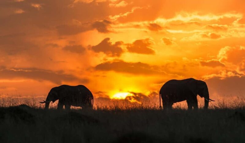 7-Day Classic Northern Circuit Safari - Key Points